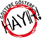 Referandum Anketi