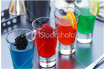 Jello Shot Champion