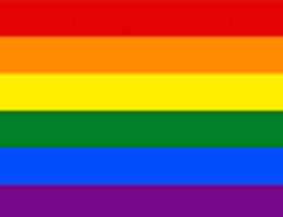¿Eres Gay?