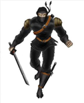Are You A Ninja Or A U.S Soldier?