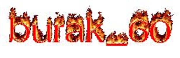 Www.Burakzileli.Tr.Gg