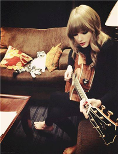 %Kaç Swiftie'sin?