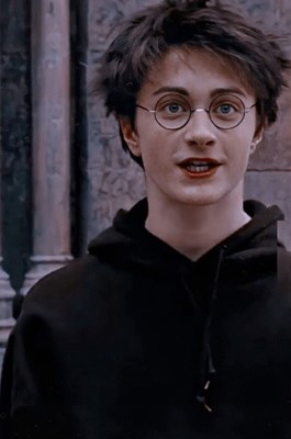 Hangi  harry potter  karakterinin vizesini veriyorsun 