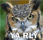 O Rly ? Ya Rly