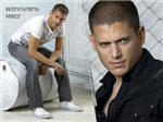 Wentworth Miller