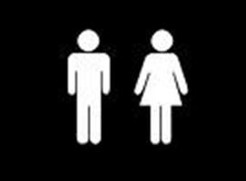 Man Or Woman For President?