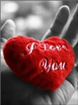 Lovable Or Hated