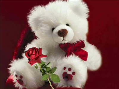 Oso de peluche y rosas