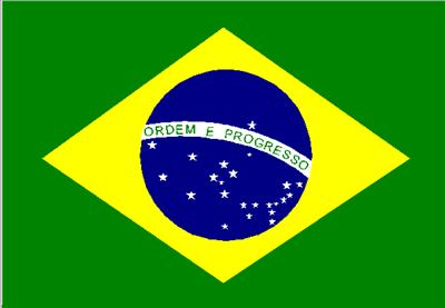 Who Will Win Fifa World Cup 2010? 