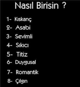 Sen Nasıl Birisin