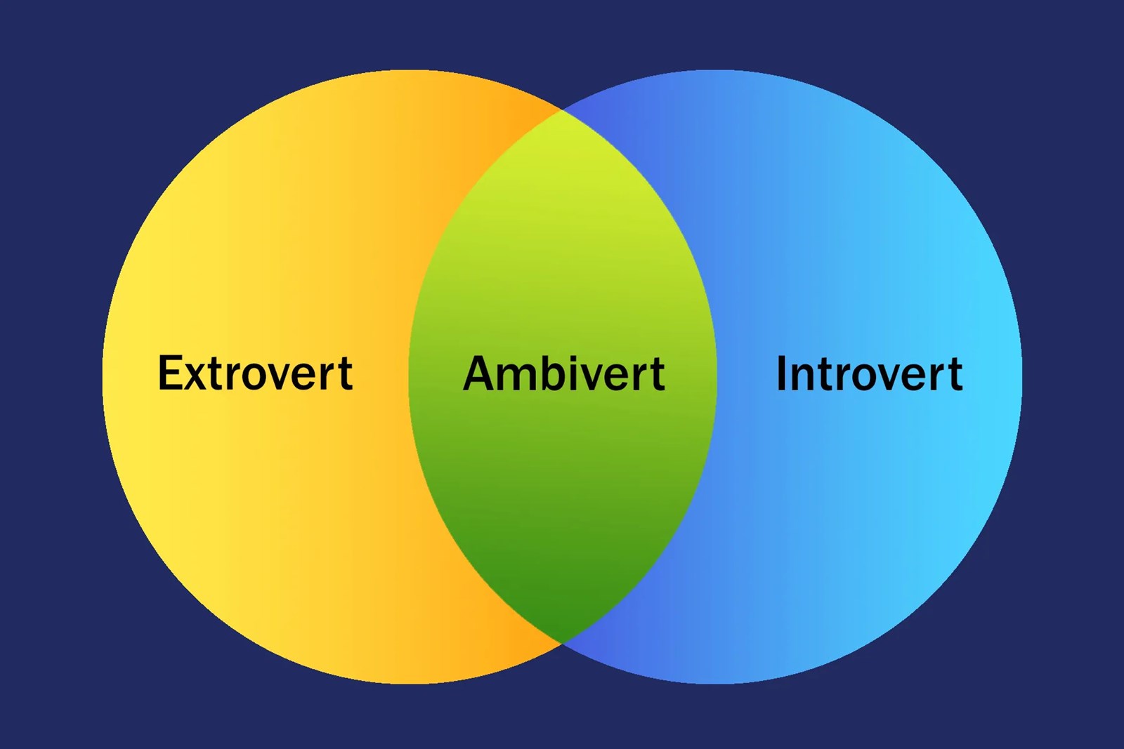 Introvert extrovert ambivert
