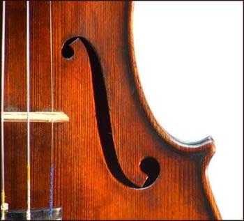 Cuanto Tienes De Viola?