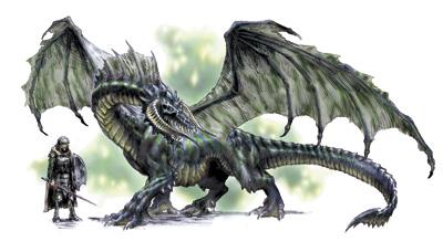 What Kind Of  Dragon Are You?