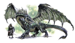 What Kind Of  Dragon Are You?