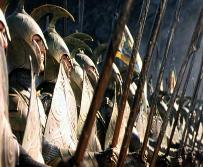 Elf Misin?Yoksa Orc Mu?