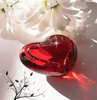Love Or Car