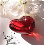 Love Or Car