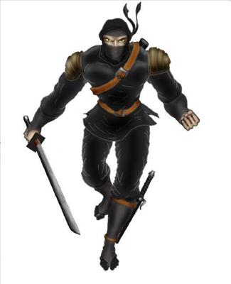Are You Pirate Or Ninja