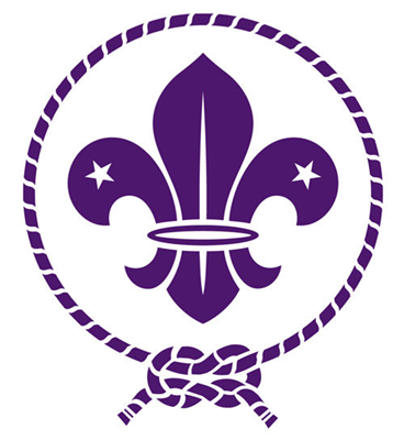 Are You A Scout?