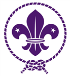 Are You A Scout?