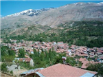 Alper Gönül