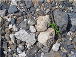 Which Rock Is Best?