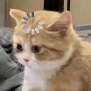 Kamu Mirip Siapa Diantara Oc Ku??