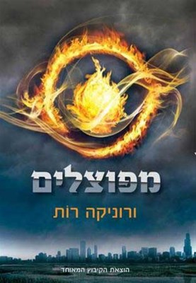 אם הייתם בתוך העולם של מפוצלים לאיזה פלג הייתם הולכים?