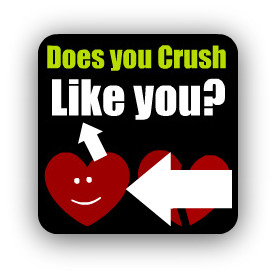 Does Your Crush Like You?