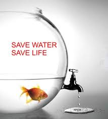 Save Water With Me