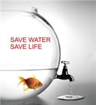 Save Water With Me