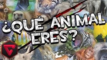 Que Animal Eres ???