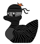 How Well Do You Know The Loon Ducks?