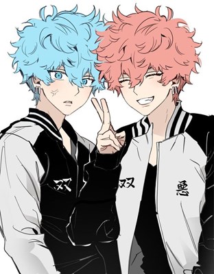 Quién sería tú hermano en Tokyo revengers según tu personali