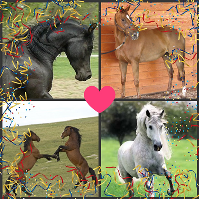 Which Horse Breed Are You?