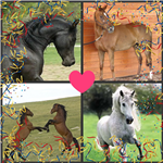 Which Horse Breed Are You?