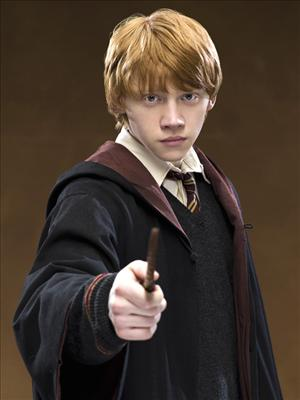 What Harry Potter Charecter Are You?