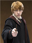 What Harry Potter Charecter Are You?