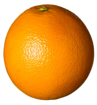 Cant You See The Fruit