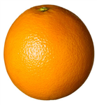 Cant You See The Fruit