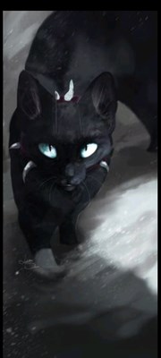 Quel Chat Es Tu  Dans Lgdc ?