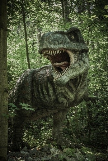 ¿A Cuál Dinosaurio Te Pareces?