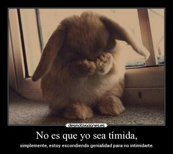 Que Tan Kawaii Eres?