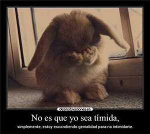 Que Tan Kawaii Eres?