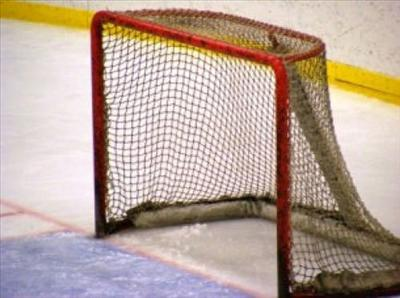What Nhl Goalie Are You?
