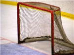 What Nhl Goalie Are You?