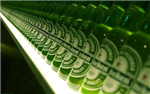 Droguer Ou Alcoolique