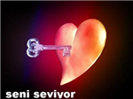 Seviyor Sevmiyor