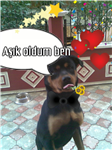 Geçmiş Yaşamında Kimdin