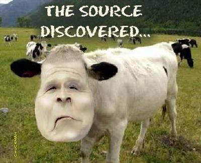 Are You A Cow Or A Phonebook?
